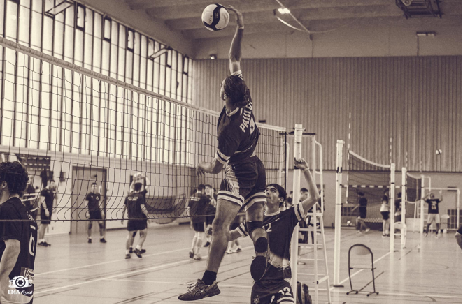 Volley2