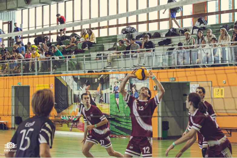 Volley3