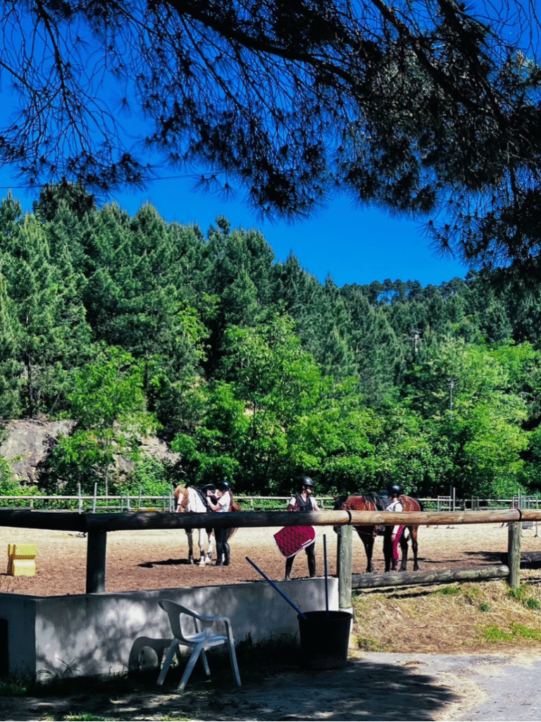 poney 2