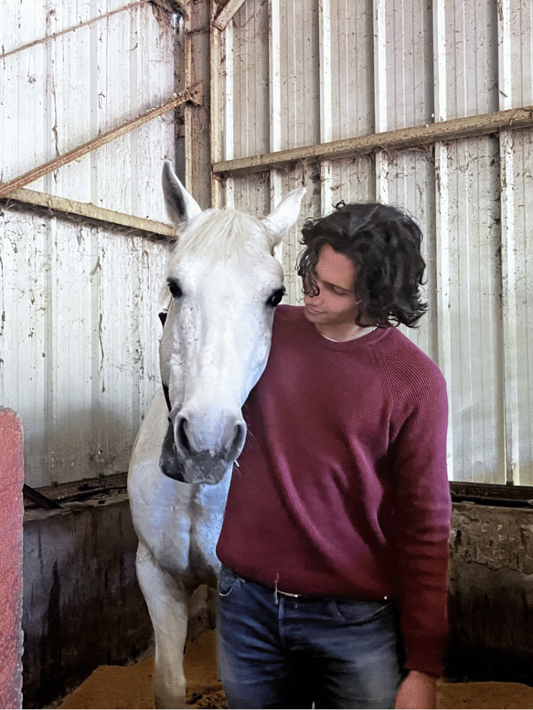 poney