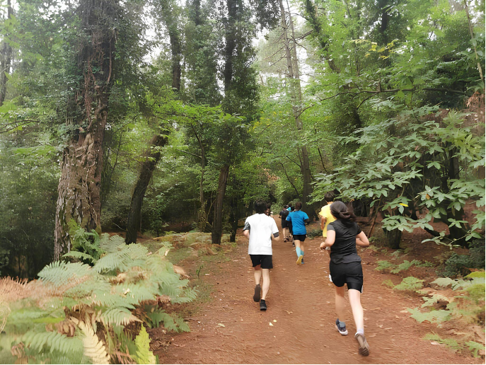 trail 2