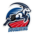 bouquetins logo bouquetins logo